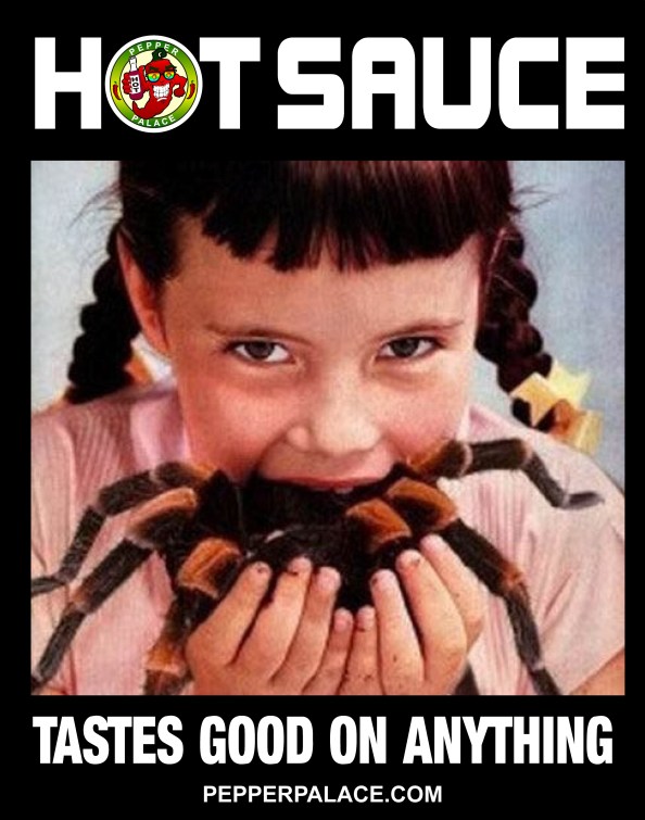 hot sauce tastes good on anything poster 22 x 28